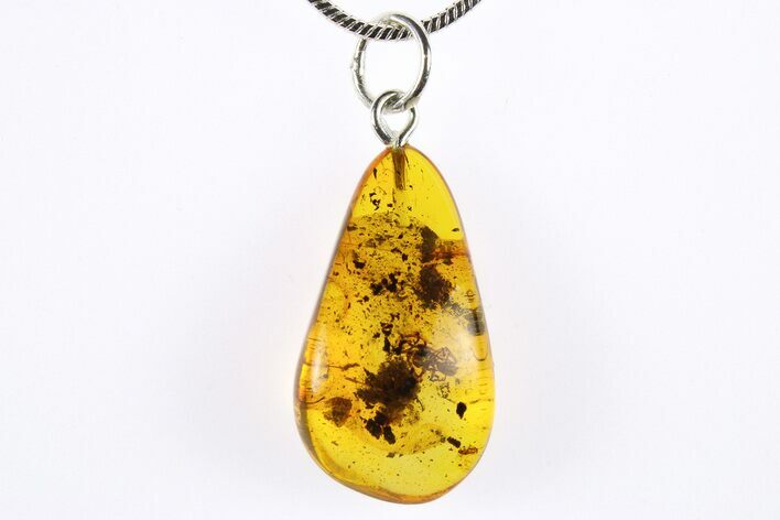 Polished Baltic Amber Pendant (Necklace) - Contains Insects! #272324